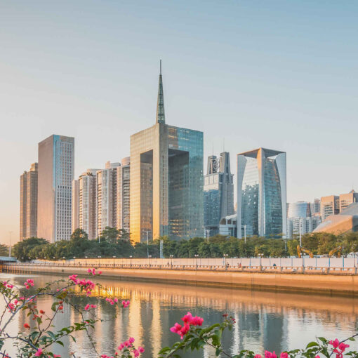 importar desde Guangzhou