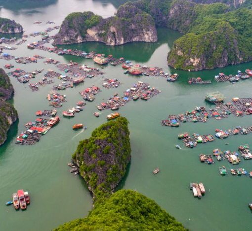 importar desde Haiphong