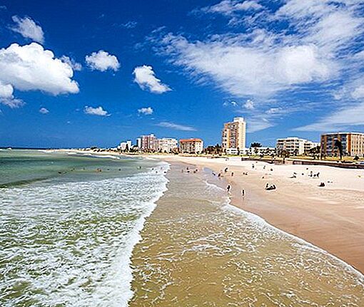 importar desde Port Elisabeth