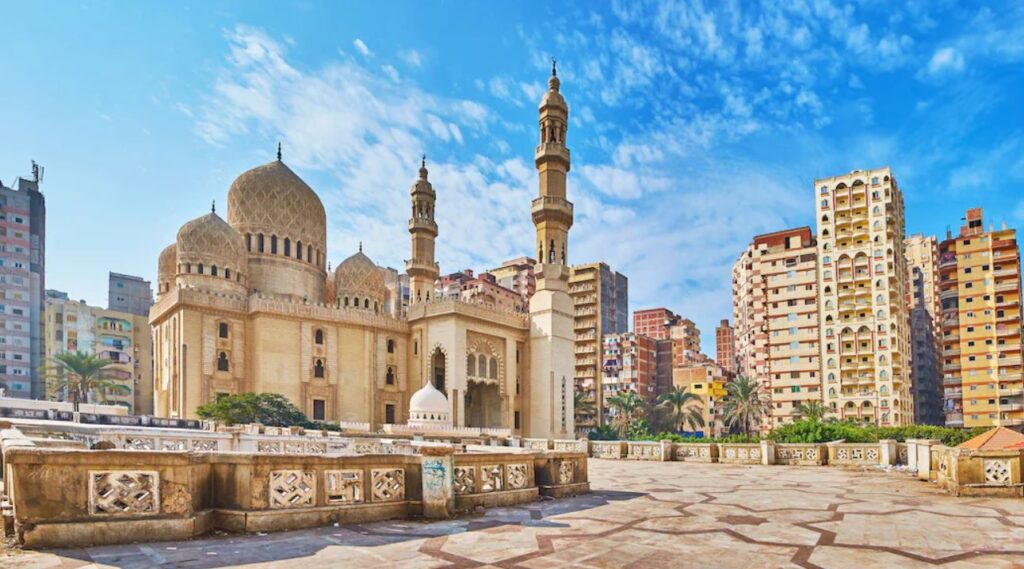 importar desde Alexandria